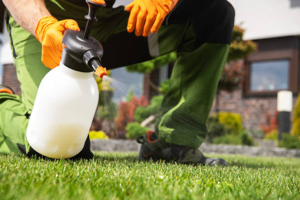 Best Affordable Pest Control Services  in Clarksville, TN