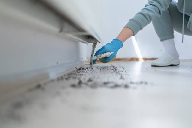 Best Pest Control Treatment  in Clarksville, TN