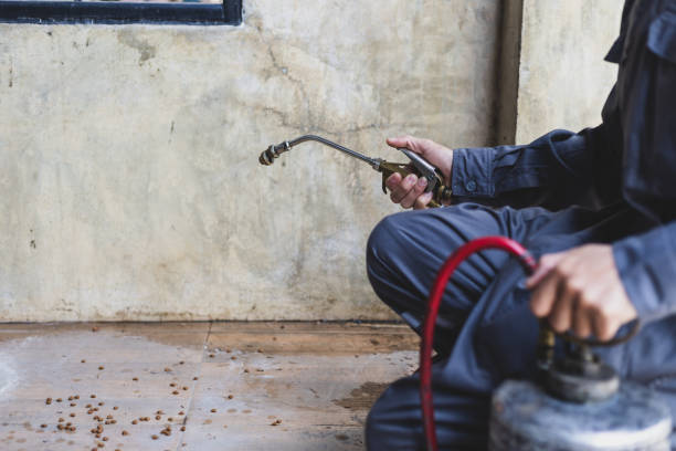 Best Best Pest Control Companies  in Clarksville, TN